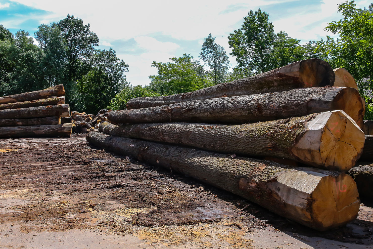 Achat bois de chauffage en gros La Rochelle  Bois Guilbaud