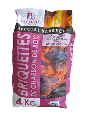 Briquettes charbon de bois